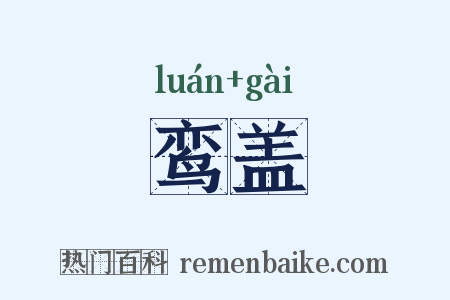 鸾盖是什么意思的图片